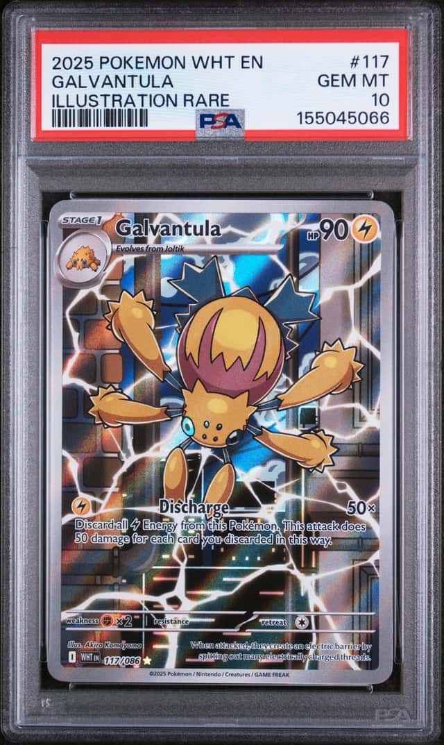 Galvantula