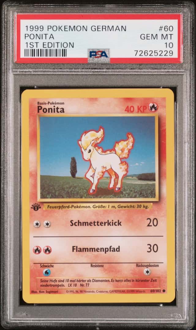 Ponyta