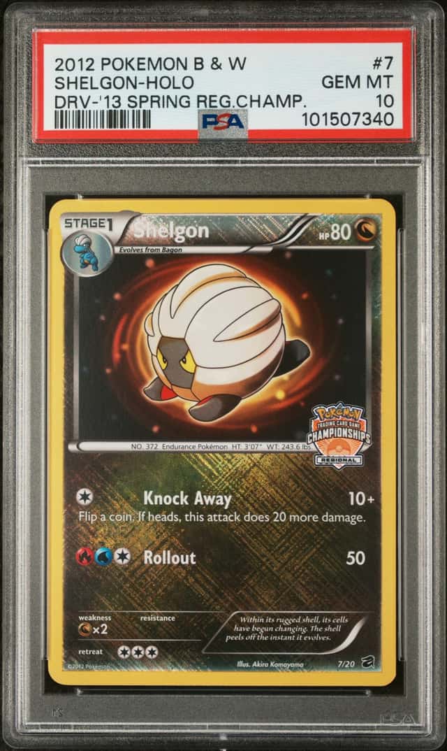 Shelgon