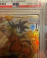 Son Goku