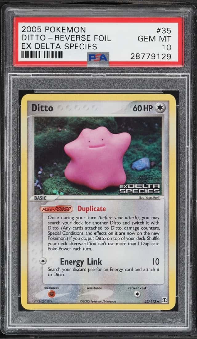 Ditto