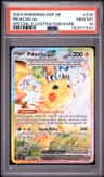 Pikachu Ex
