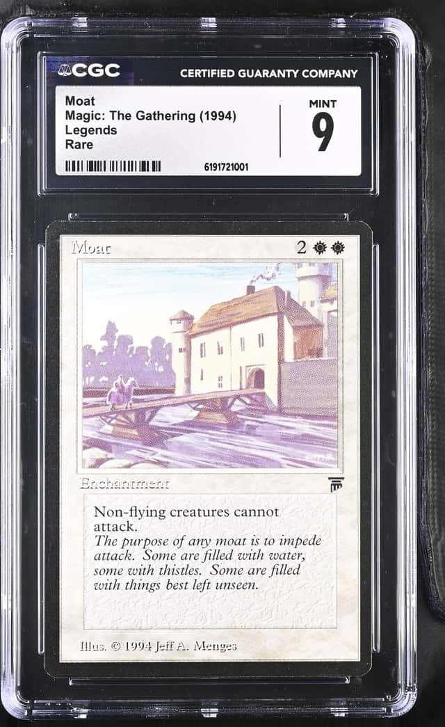 Moat