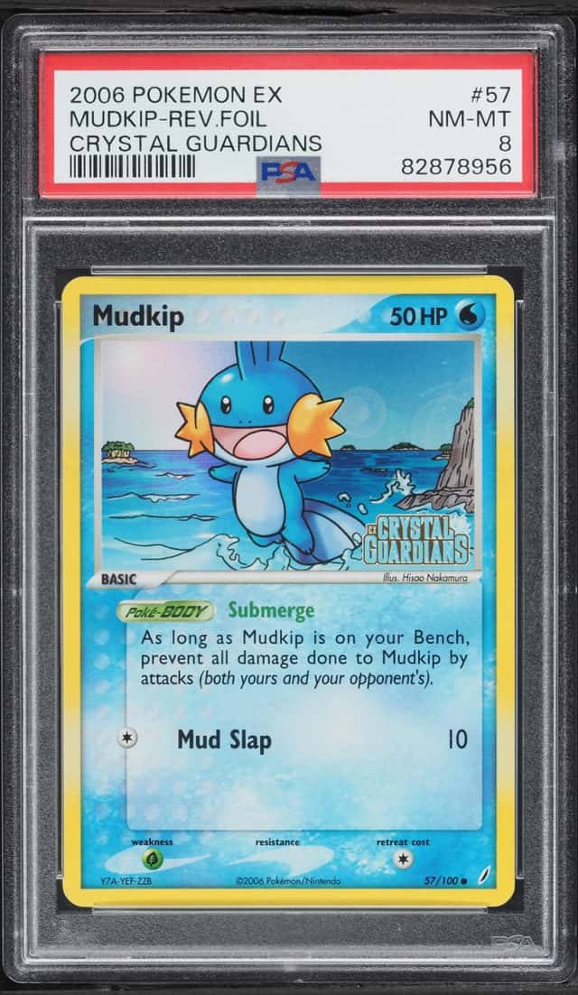 Mudkip