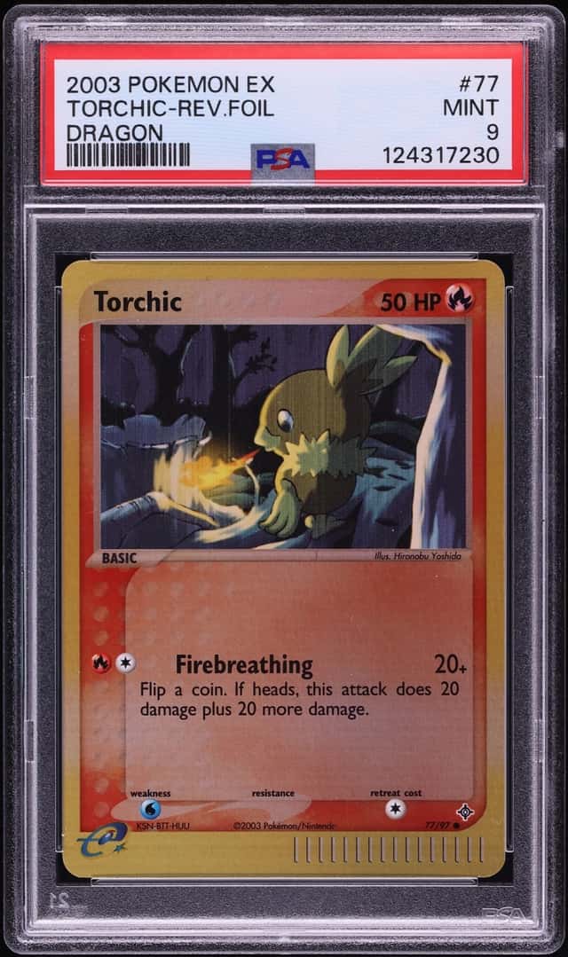 Torchic