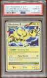 Electivire Lv X