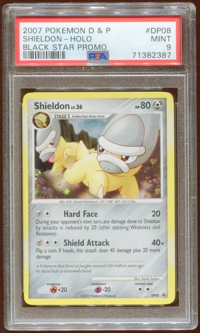 Shieldon
