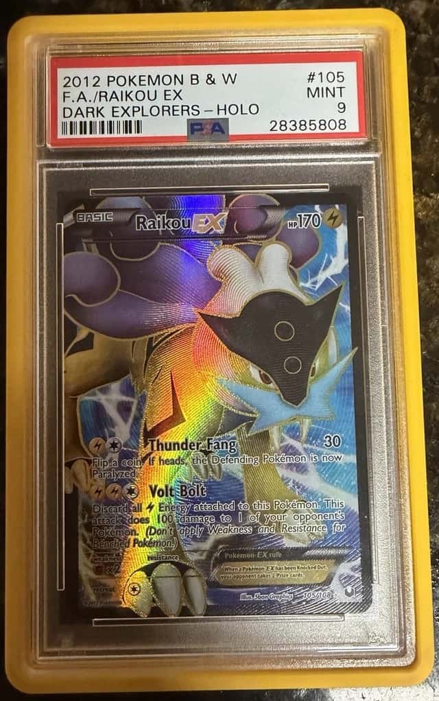 Raikou EX
