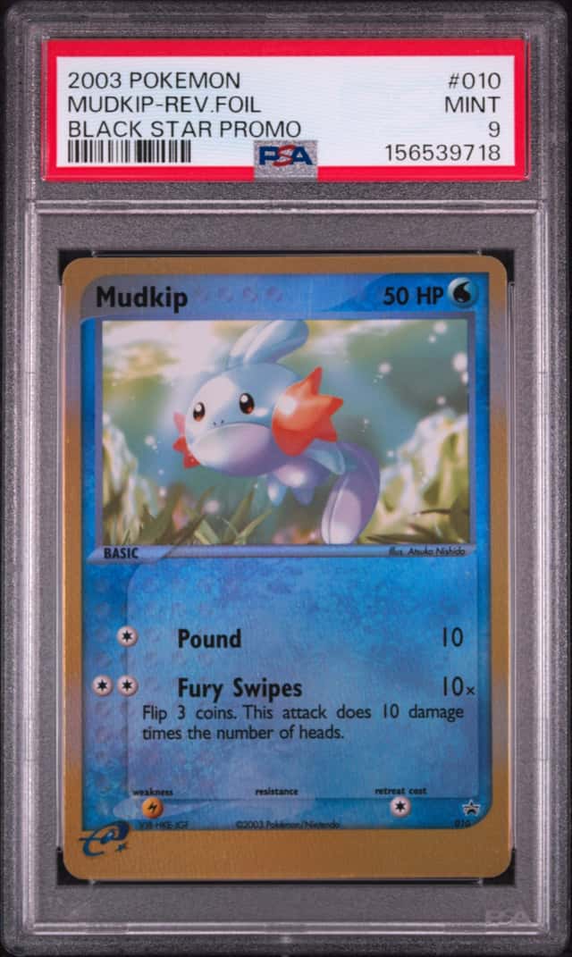 Mudkip