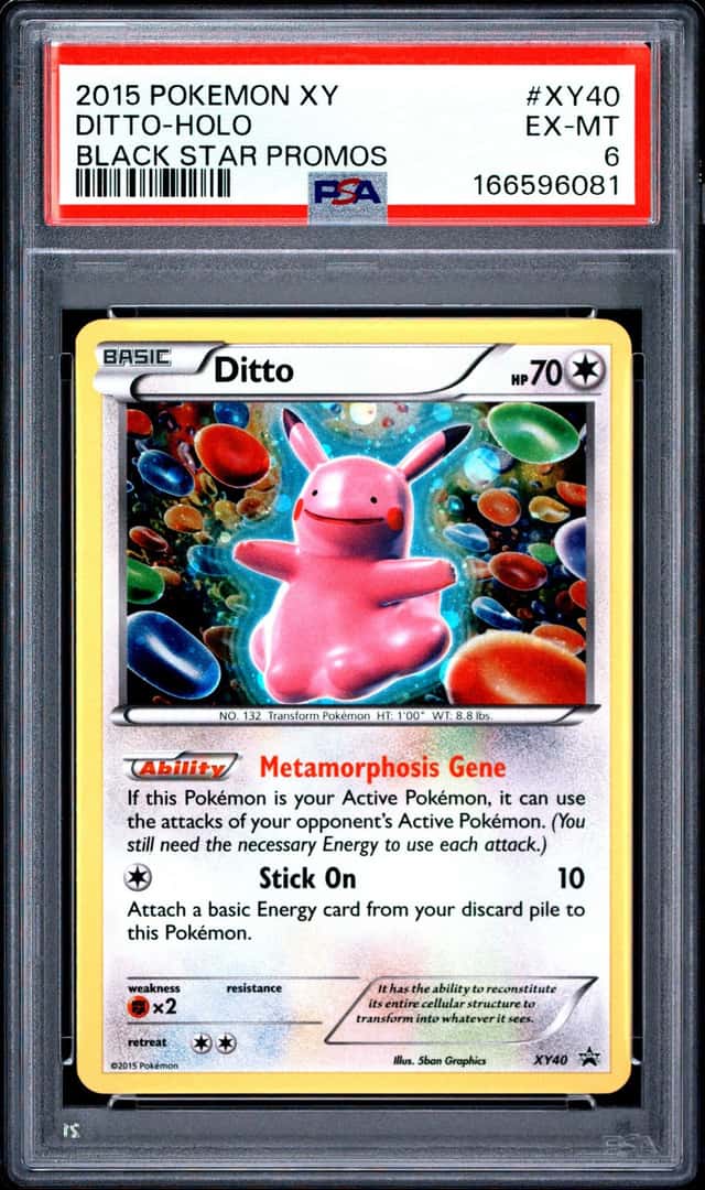 Ditto