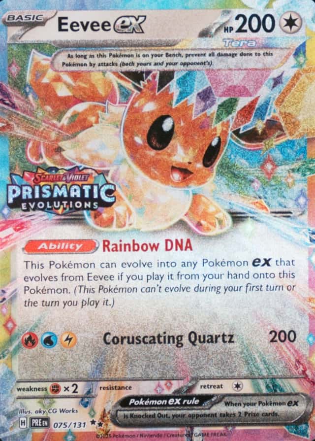 Holo · Box Exclusive Surprise