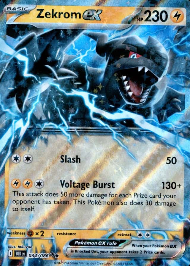 Base / no variant