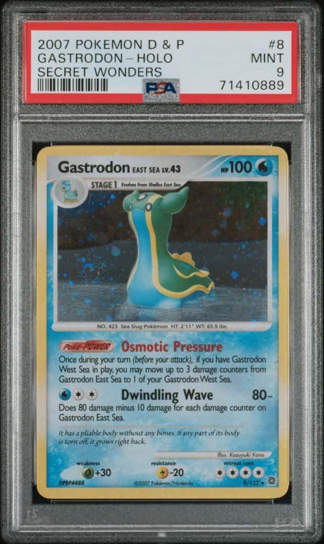Gastrodon