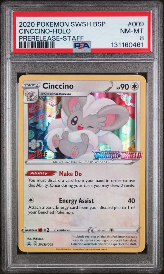 Cinccino