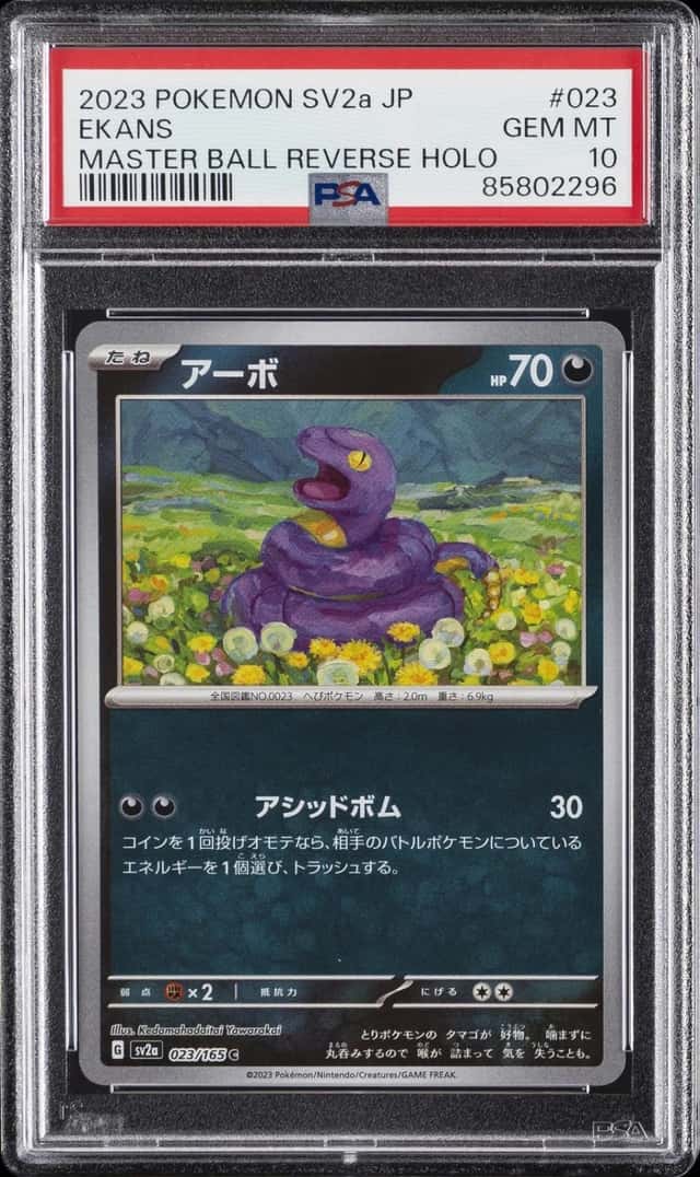 Ekans