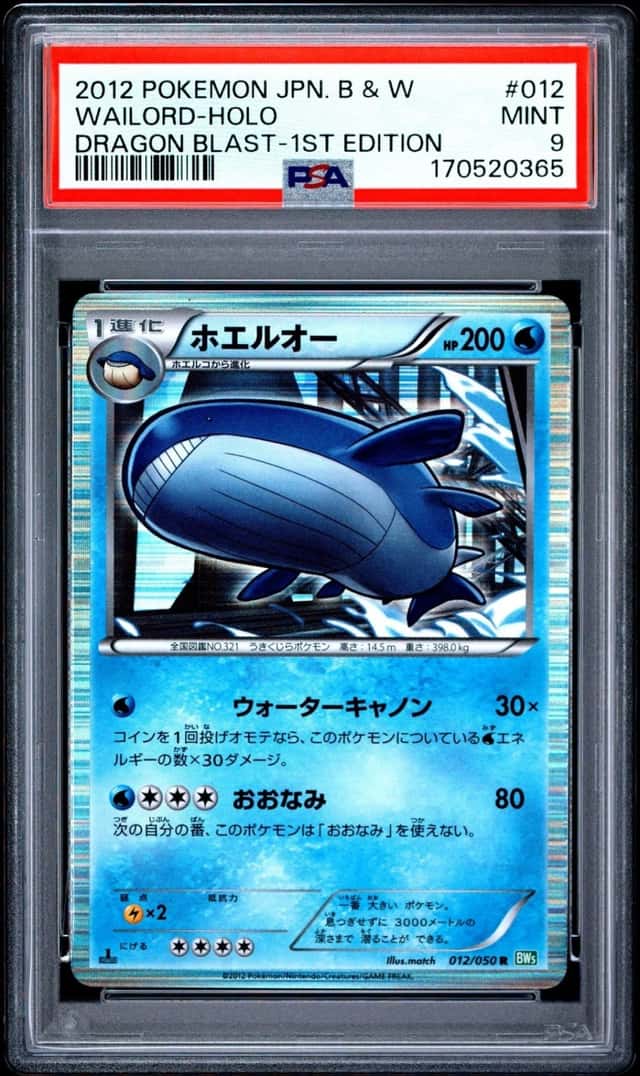 Wailord