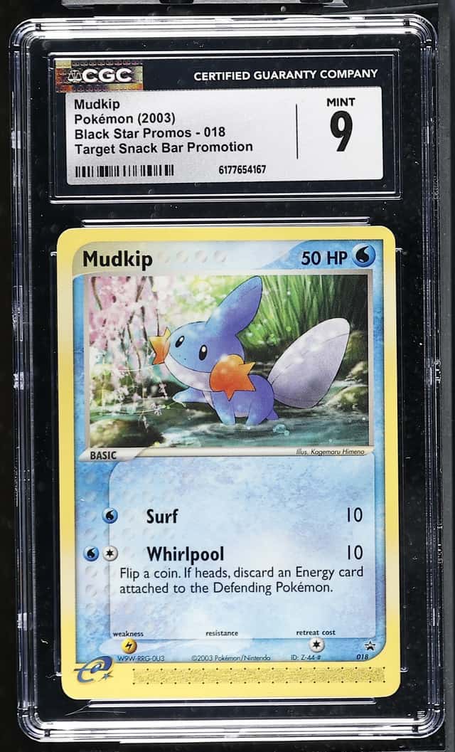 Mudkip