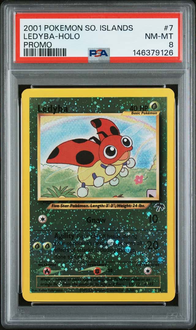 Ledyba