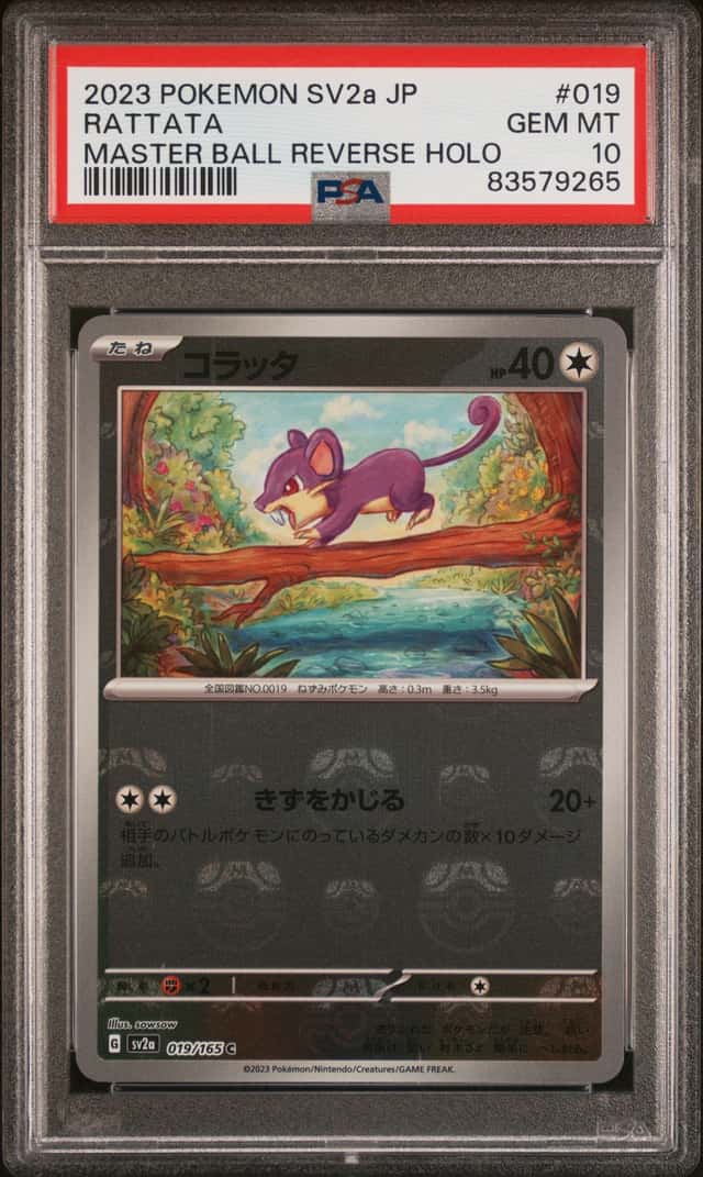 Rattata
