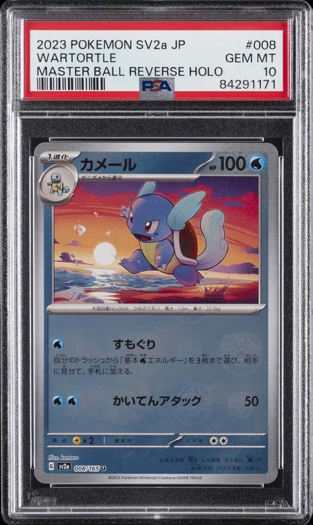 Wartortle