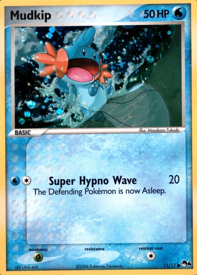 Holo