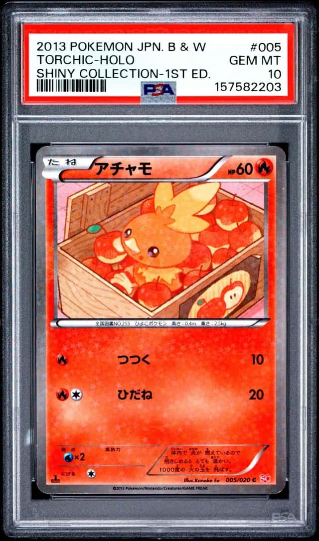 Torchic