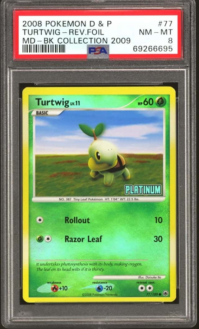 Turtwig