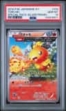 Torchic