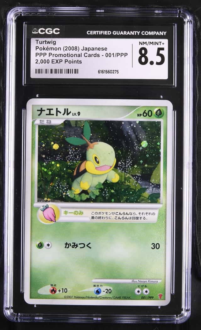 Turtwig