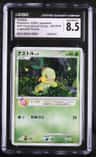 Turtwig