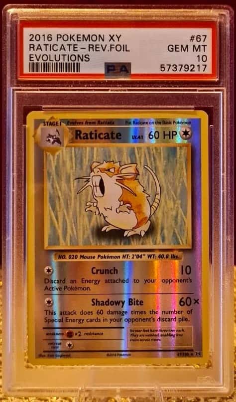 Raticate