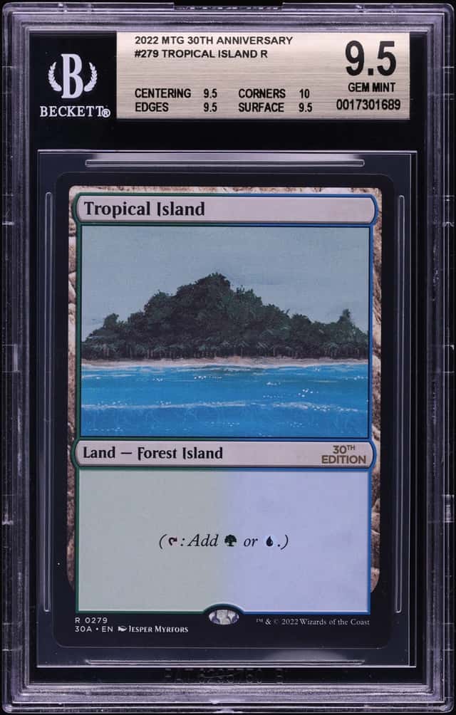 Tropical Island