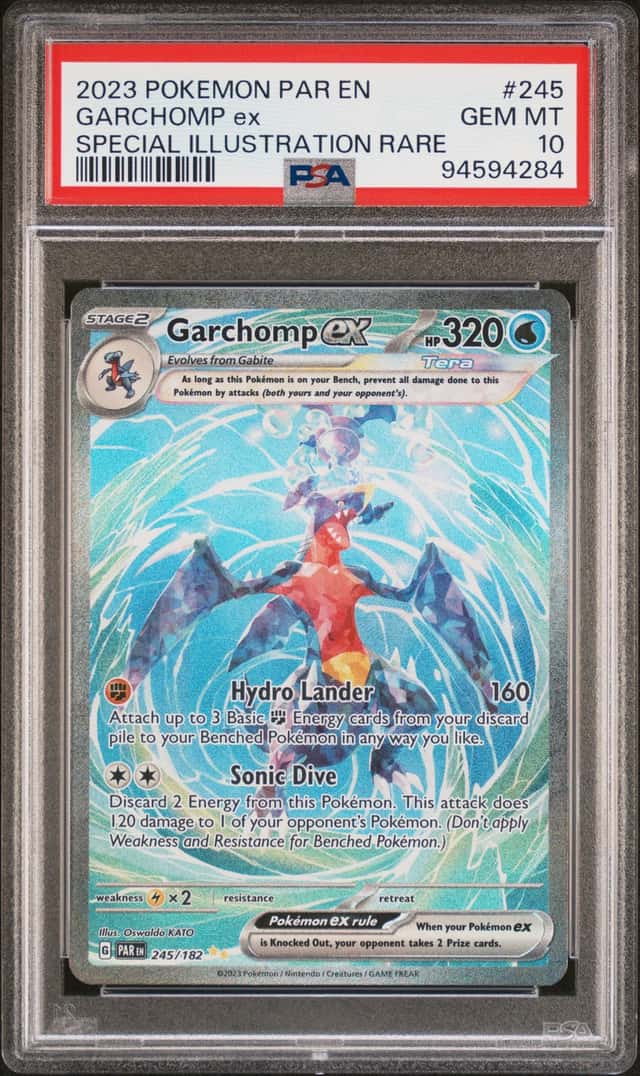 GARCHOMP ex