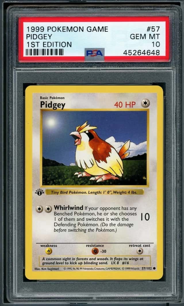 Pidgey