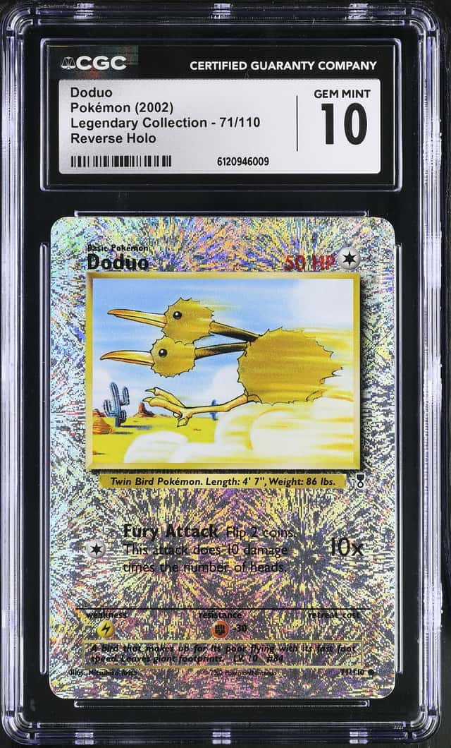 Doduo