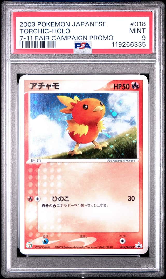 Torchic