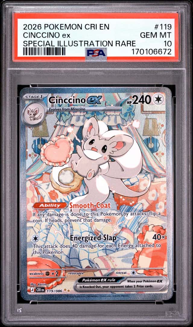CINCCINO ex