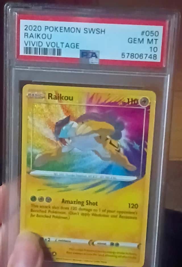 Raikou