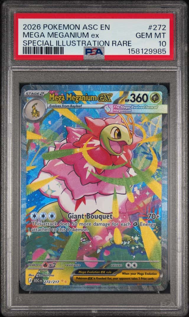 MEGA MEGANIUM ex