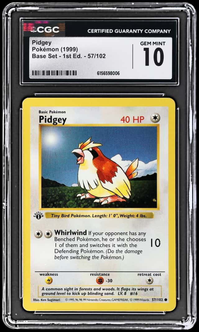 Pidgey