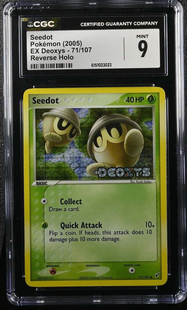 Seedot