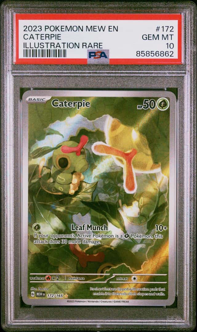 Caterpie