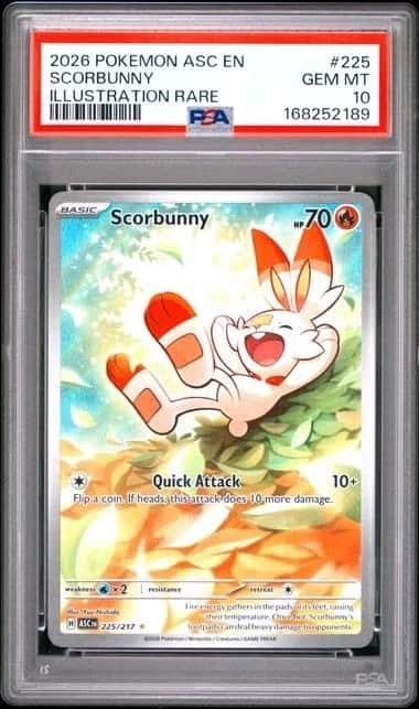 Scorbunny
