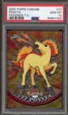 Ponyta