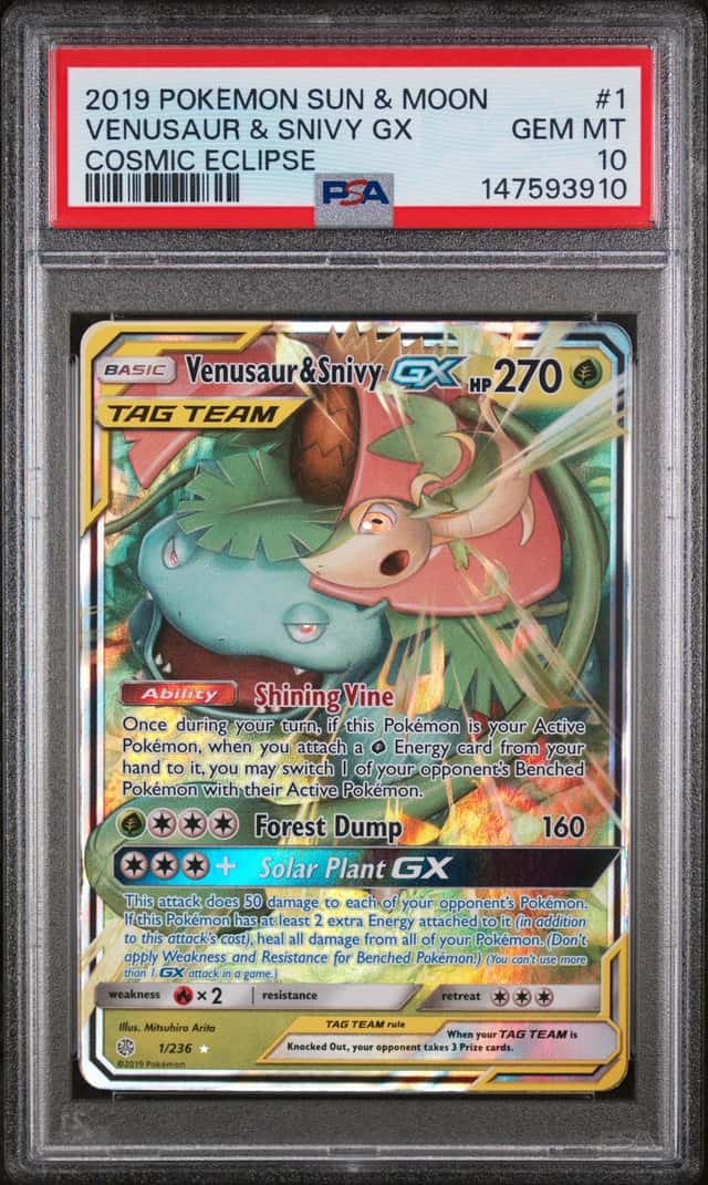 Venusaur & Snivy GX