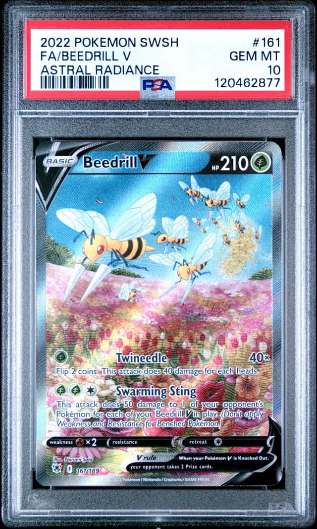 Beedrill V