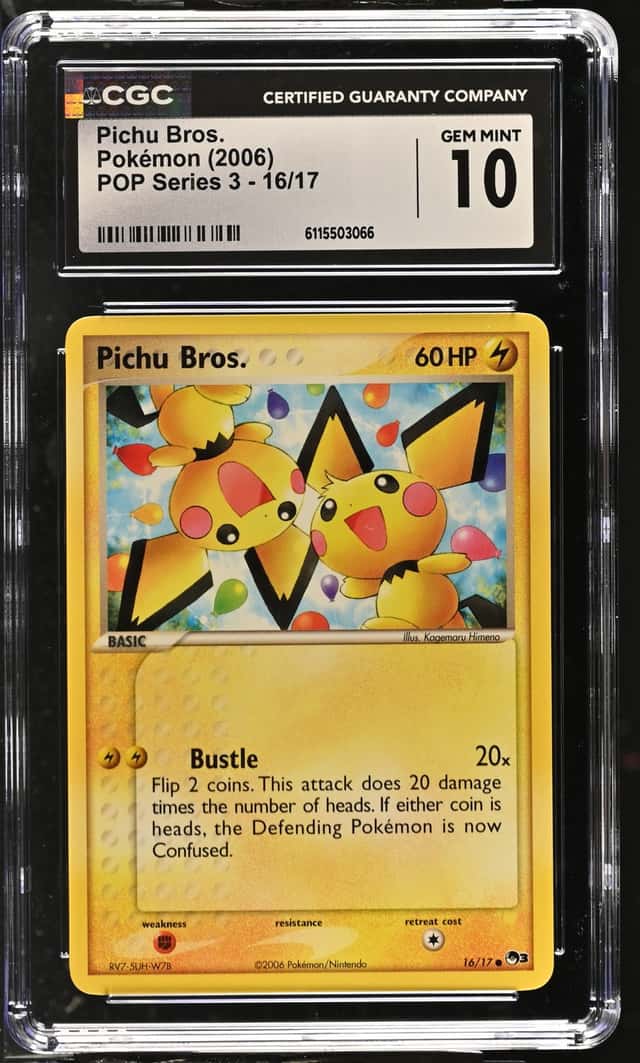 Pichu Bros