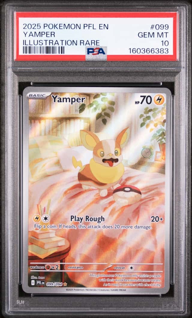 Yamper