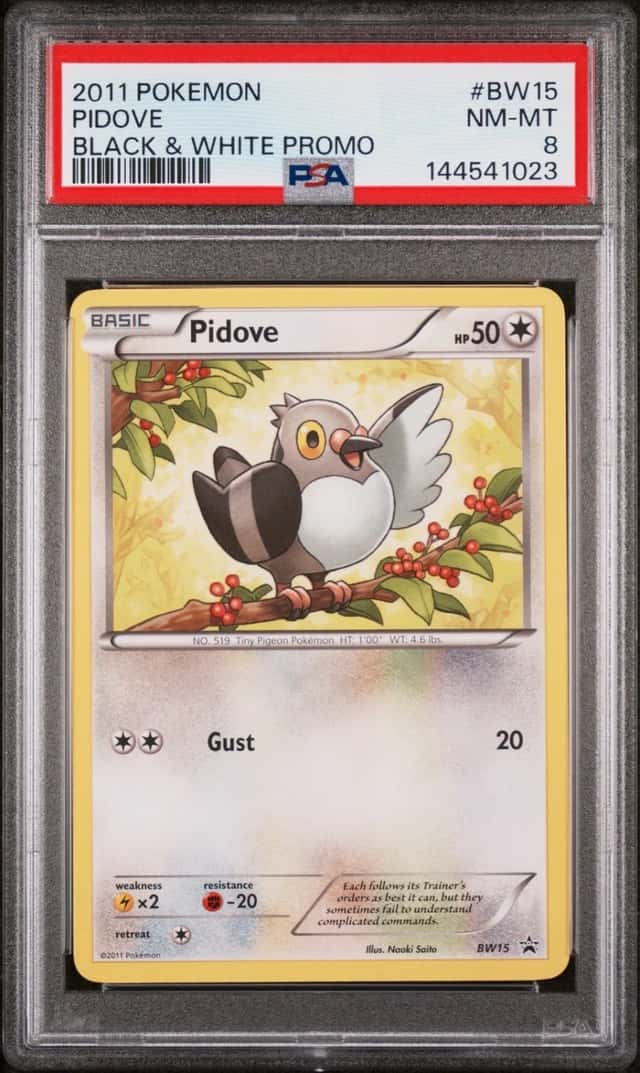 Pidove