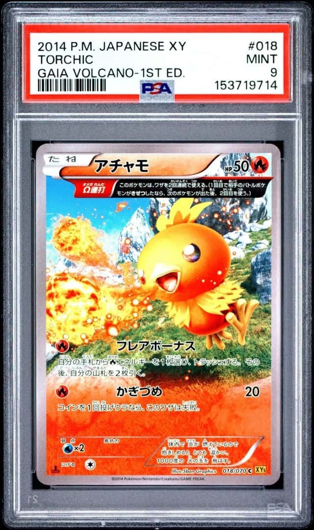Torchic